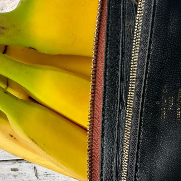 LV Rare 🧳 Louis Vuitton Voyage wallet - Picture 13 of 15